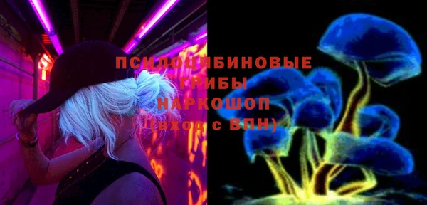 ПСИЛОЦИБИНОВЫЕ ГРИБЫ Арсеньев