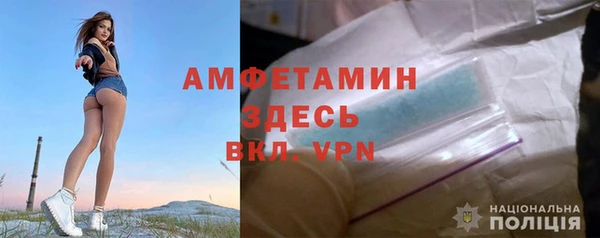 ПСИЛОЦИБИНОВЫЕ ГРИБЫ Арсеньев