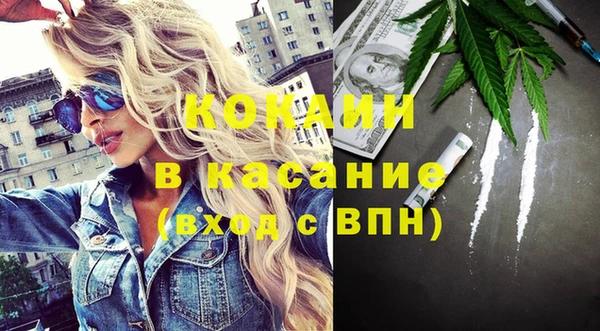 ПСИЛОЦИБИНОВЫЕ ГРИБЫ Арсеньев