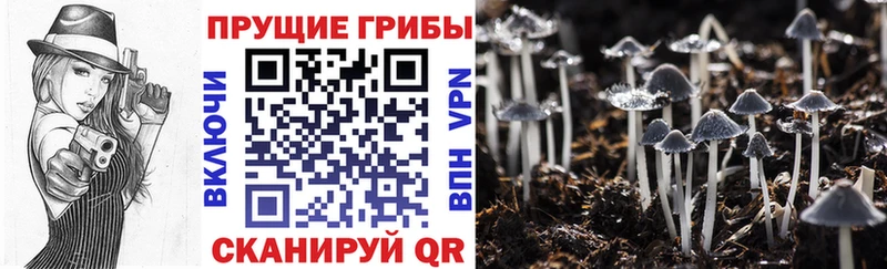 Галлюциногенные грибы мухоморы  где купить наркоту  Феодосия 