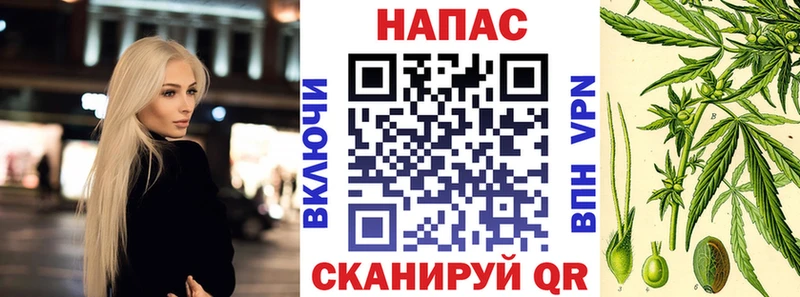 hydra   Феодосия  Бошки Шишки тримм 
